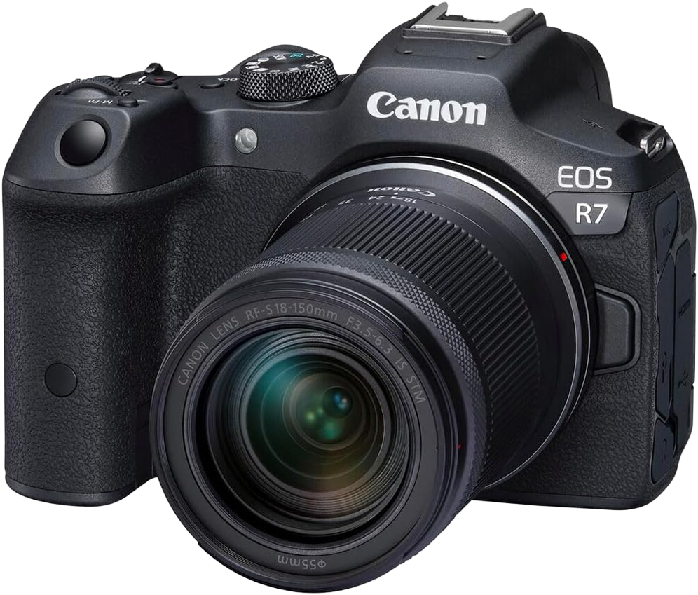 Hybrid DSLR camera